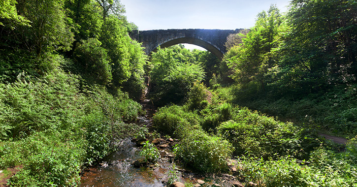 Causey Arch railway bridge 